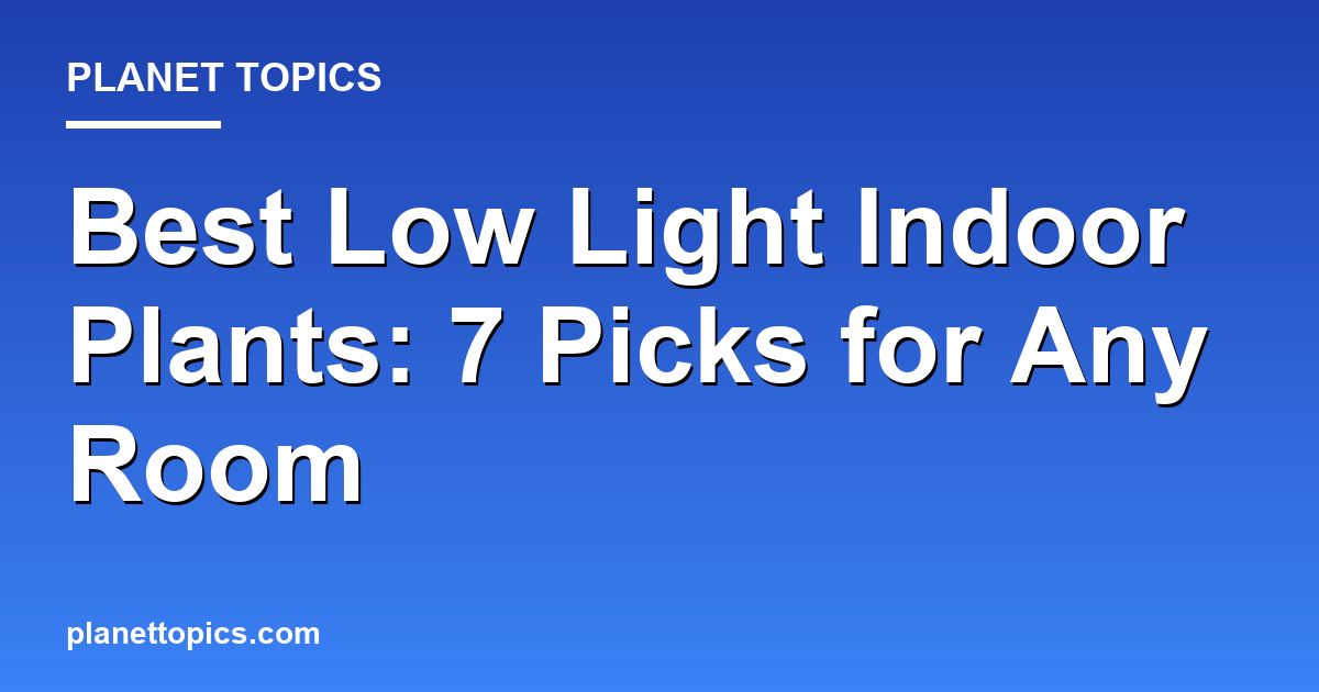 Visual representation of Best plants for low light indoor rooms
