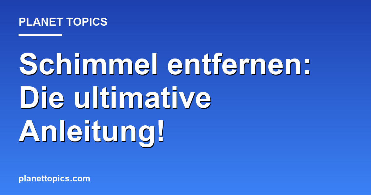 Schimmel entfernen: Die ultimative Anleitung! Featured Image
