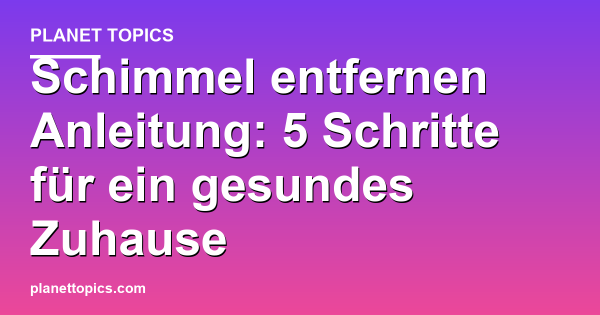 Schimmel entfernen Anleitung Zusammenfassung