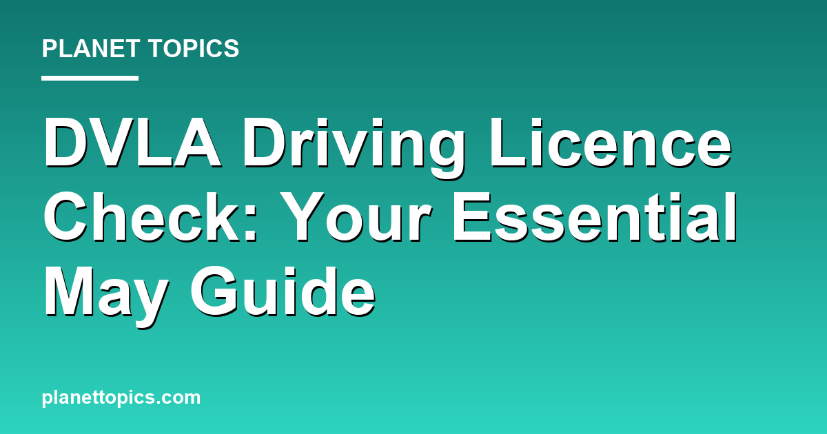 DVLA driving licence check key information summary