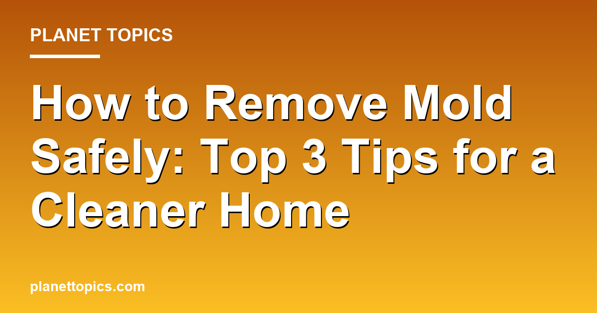 How to remove mold safely key information summary